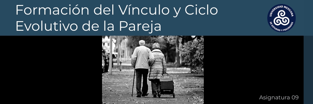 9_FORMACIÓN DEL VÍNCULO Y CICLO EVOLUTIVO DE LA PAREJA_MÓDULO 14