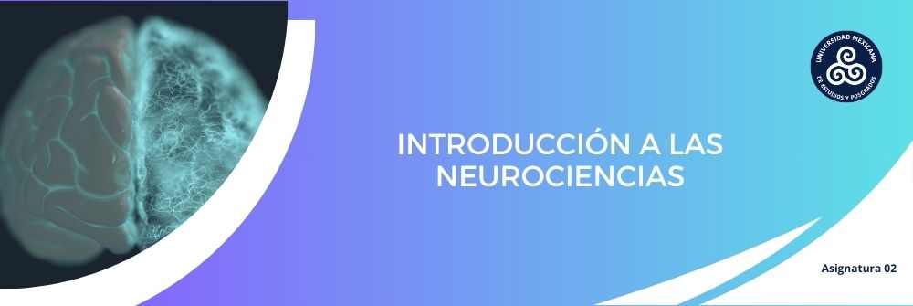 02_INTRODUCCIÓN A LAS NEUROCIENCIAS