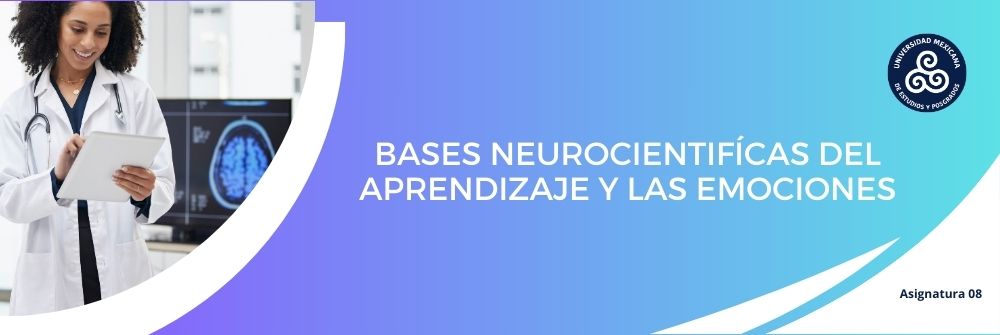 08_BASES NEUROCIENTIFÍCAS DEL APRENDIZAJE Y LAS EMOCIONES