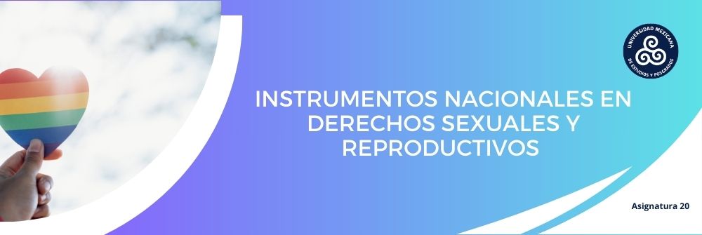 20_INSTRUMENTOS NACIONALES EN DERECHOS SEXUALES Y REPRODUCTIVOS