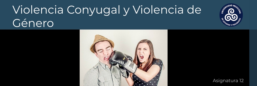 13_VIOLENCIA CONYUGAL Y VIOLENCIA DE GÉNERO_MÓDULO 18