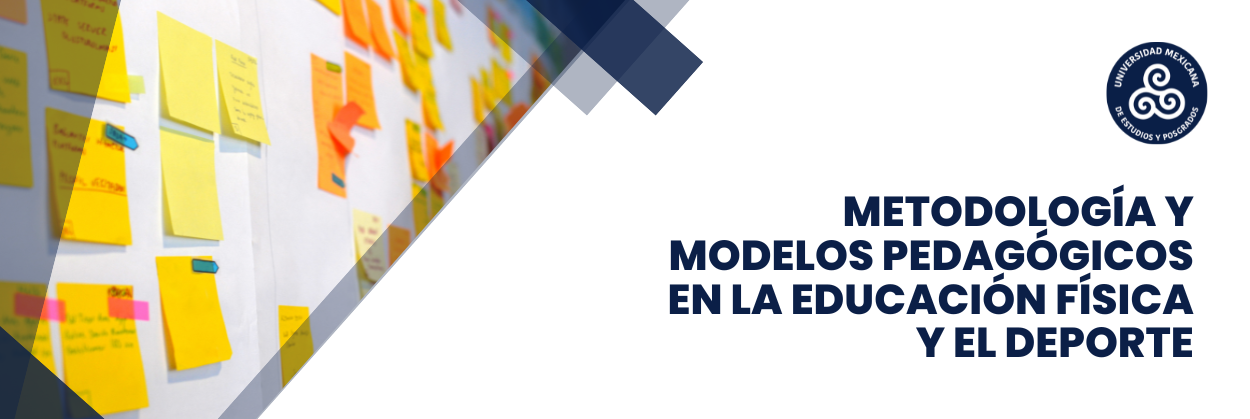 19. METODOLOGÍA Y MODELOS PEDAGÓGICOS EN LA EDUCACIÓN FÍSICA Y EL DEPORTE