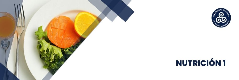 06. NUTRICIÓN 1