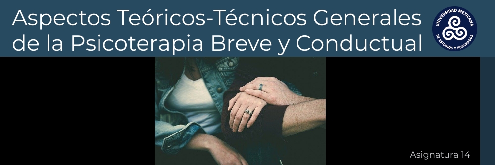 17_ASPECTOS TEÓRICO-TÉCNICOS GENERALES DE LA PSICOTERAPIA BREVE Y CONDUCTUAL_INSTRUMENTOS DEL TERAPEUTA PARA TERAPIA BREVE_MÓDULO 23