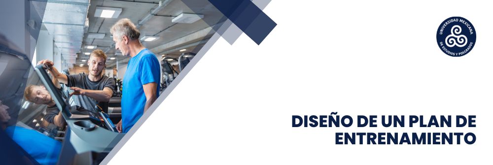 33. DISEÑO DE UN PLAN DE ENTRENAMIENTO