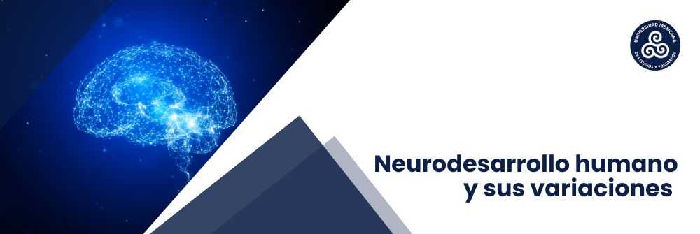 02_Neurodesarrollo Humano y sus Variaciones
