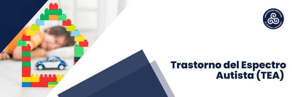 03_Trastorno del Espectro Autista (TEA)