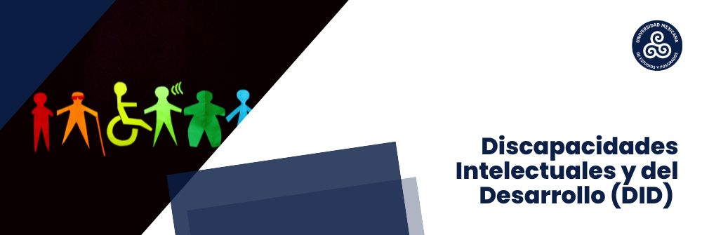 05_Discapacidades intelectuales y del Desarrollo (DID)