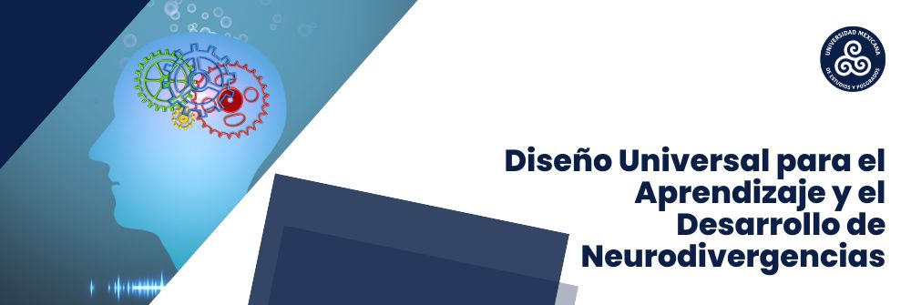 09_Diseño Universal para el Aprendizaje y el Desarrollo de Neurodivergencias