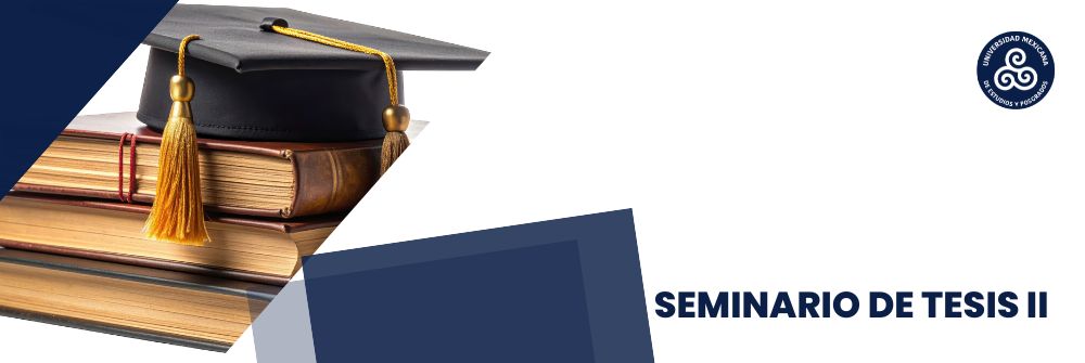 45_SEMINARIO DE TESIS II