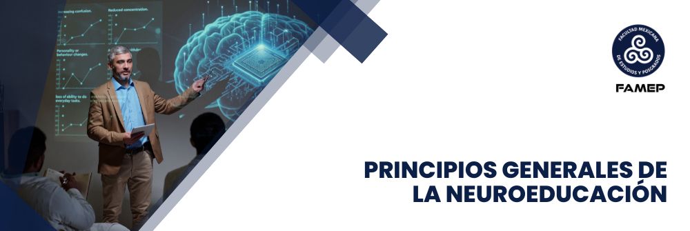 02_PRINCIPIOS GENERALES DE LA NEUROEDUCACIÓN