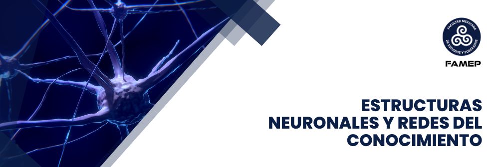 03_ESTRUCTURAS NEURONALES Y REDES DEL CONOCIMIENTO