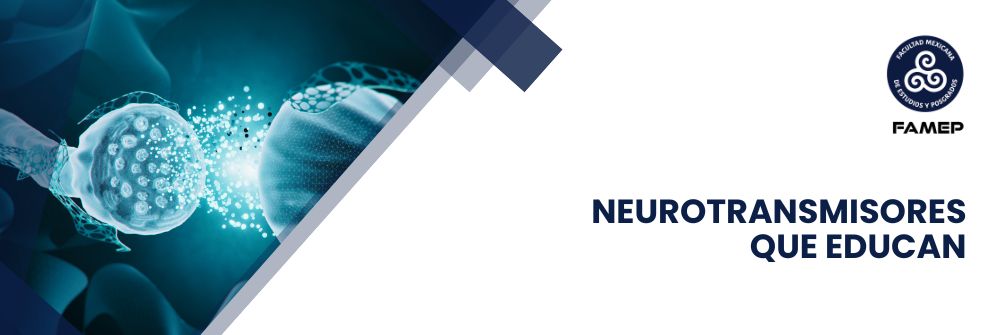 13_NEUROTRANSMISORES QUE EDUCAN