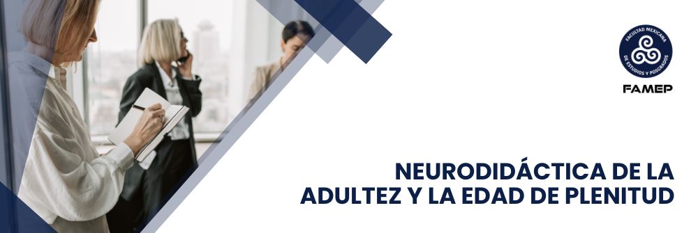 21_NEURODIDÁCTICA DE LA ADULTEZ Y LA EDAD DE PLENITUD