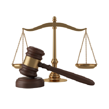 ARGUMENTACIÓN JURÍDICA